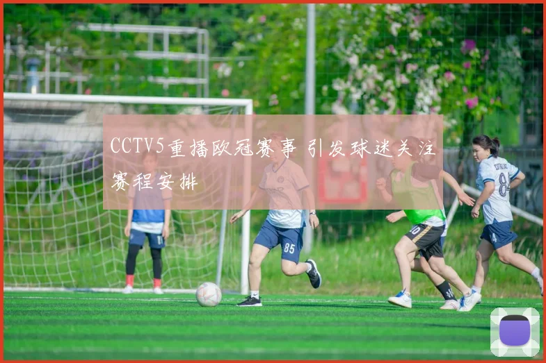 CCTV5重播欧冠赛事 引发球迷关注赛程安排
